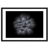 Backyard Flowers In Black And White No 66 Flow Version thumbnail