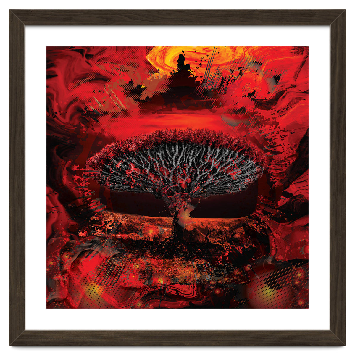 Socotra Dragon Blood tree