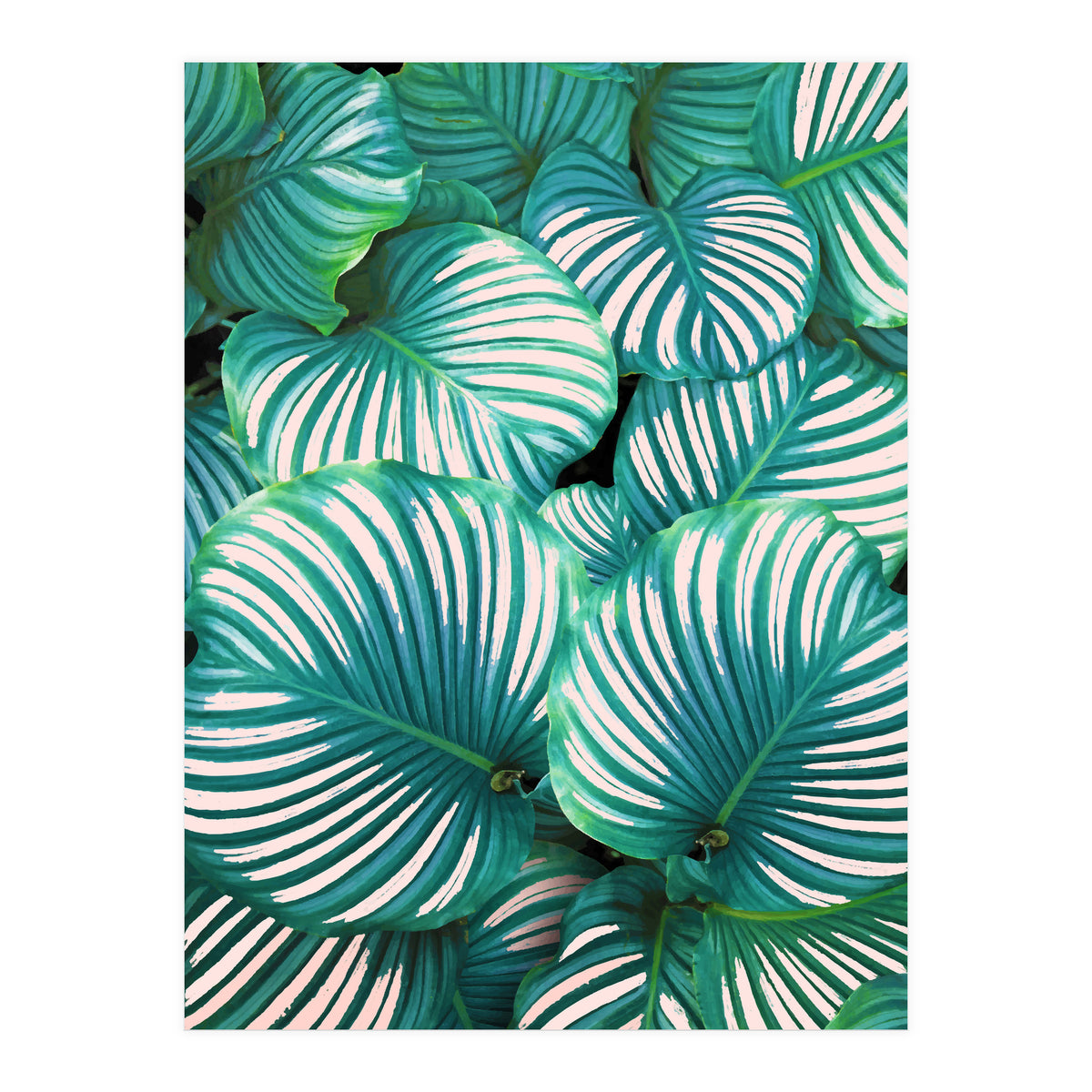 Intemporel #society6 #decor #buyart (Print Only)