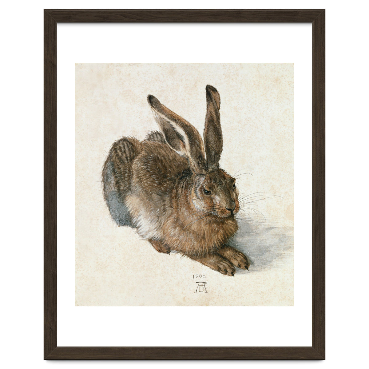 Hare-Hase. Watercolour.
