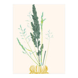 Plant based happyness Grasses 2 still life (Print Only) thumbnail