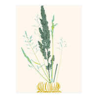 Plant based happyness Grasses 2 still life (Print Only)