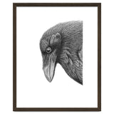 Huginn thumbnail