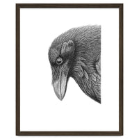 Huginn