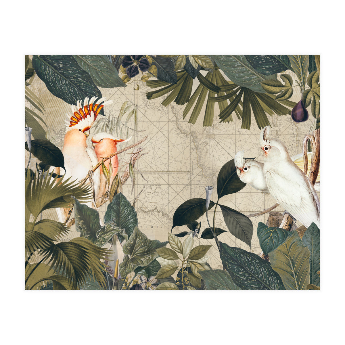 Cockatoo Island (Print Only)