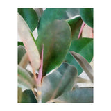 Preconceived Purity (Print Only) thumbnail