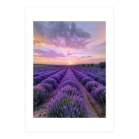 Infinite Horizons (Print Only)