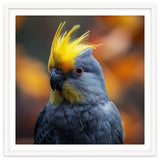 Close-up Portrait of a Yellow Cockatoo in the Wild. thumbnail