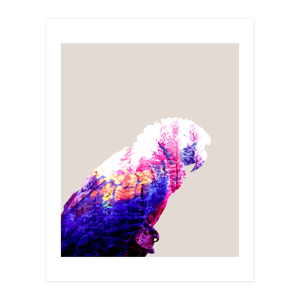 Macaw (Print Only)