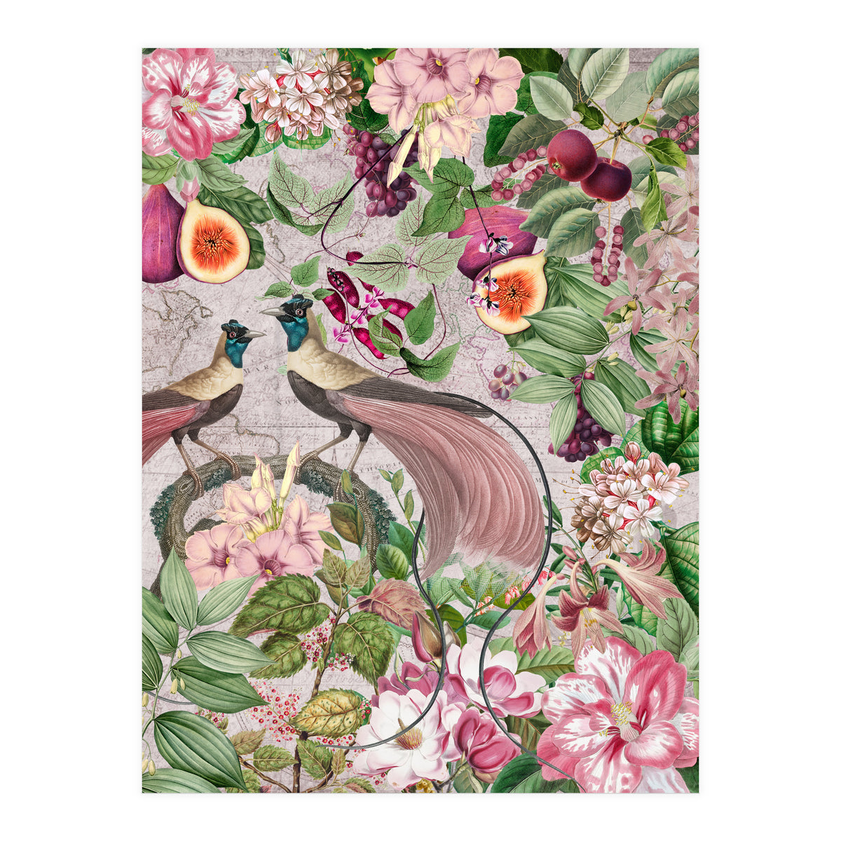 Vintage Birds Of Paradise Jungle  (Print Only)