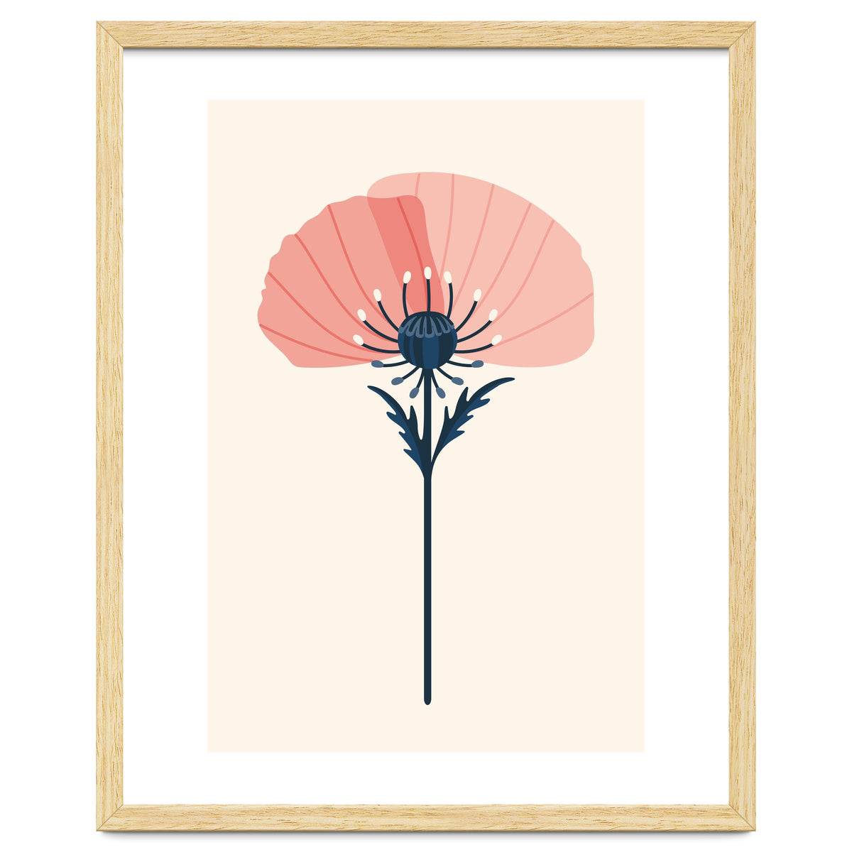 Pink Half Poppy