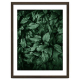 New Foliage Green Ii thumbnail