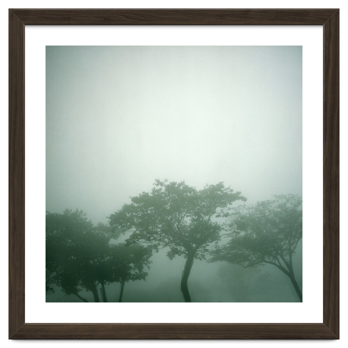 Silence of breath - 17