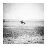 Sea Horse (Print Only) thumbnail