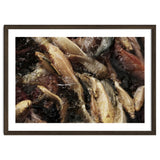 Fish01 thumbnail