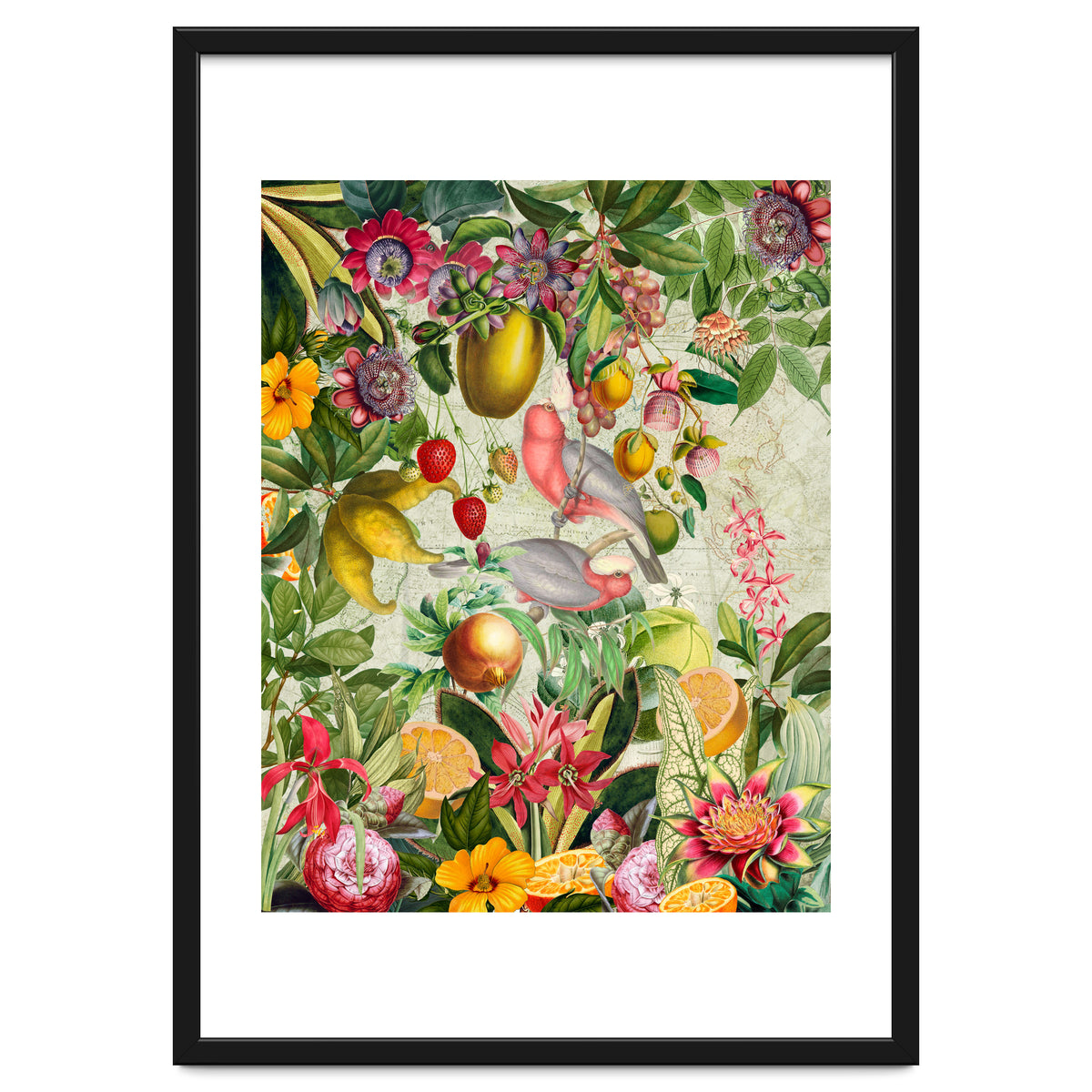 Pink Cockatoo vintage jungle