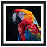 Scarlet Macaw Parrot Vibrant Plumage Close Up thumbnail