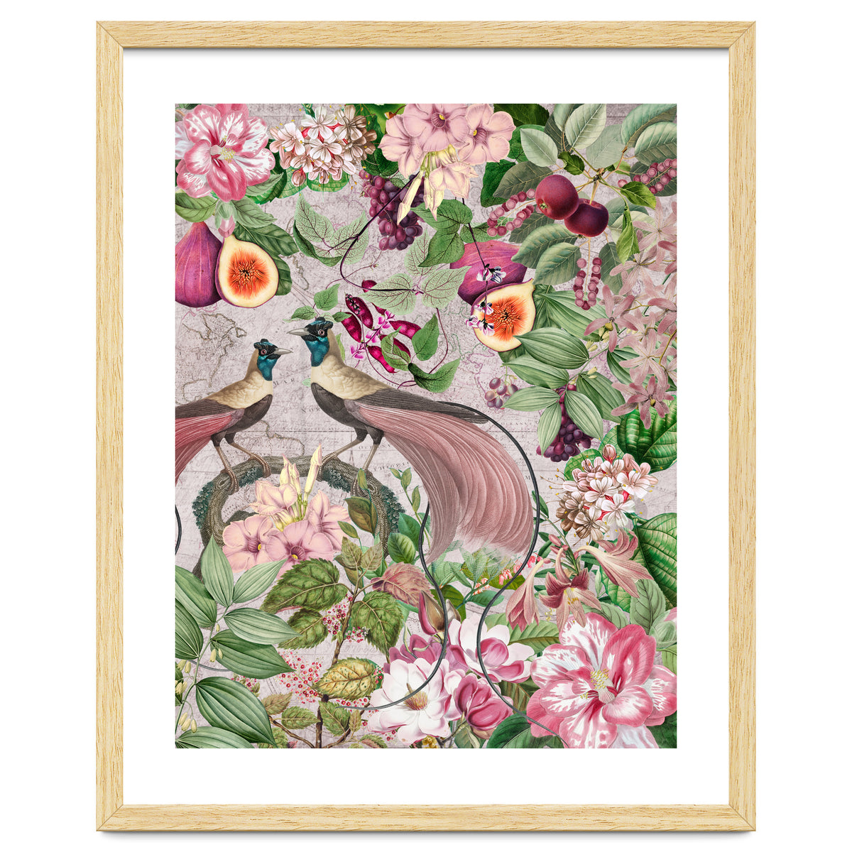 Vintage Birds Of Paradise Jungle