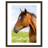 Horse Portrait thumbnail