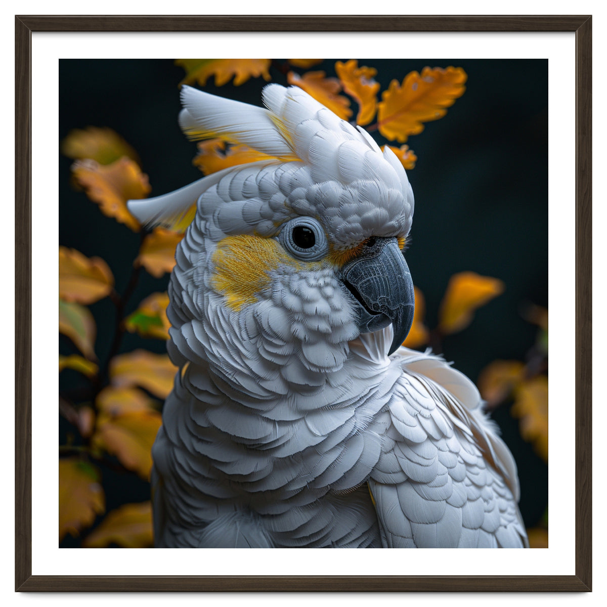 Yellow Crested Cockatoo Portrait Autumn Leaves Dark