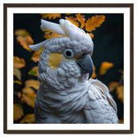 Yellow Crested Cockatoo Portrait Autumn Leaves Dark