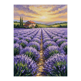 Visions of Provence (Print Only) thumbnail