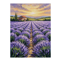 Visions of Provence (Print Only)