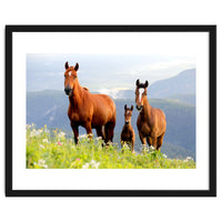 Three Horses