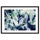 Cactus Garden thumbnail