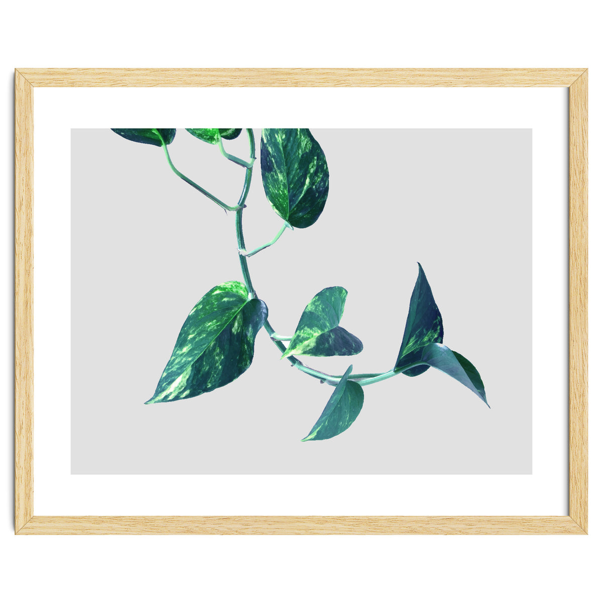 Projection & Emotion