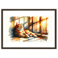 Cat Relaxing In Sunlight