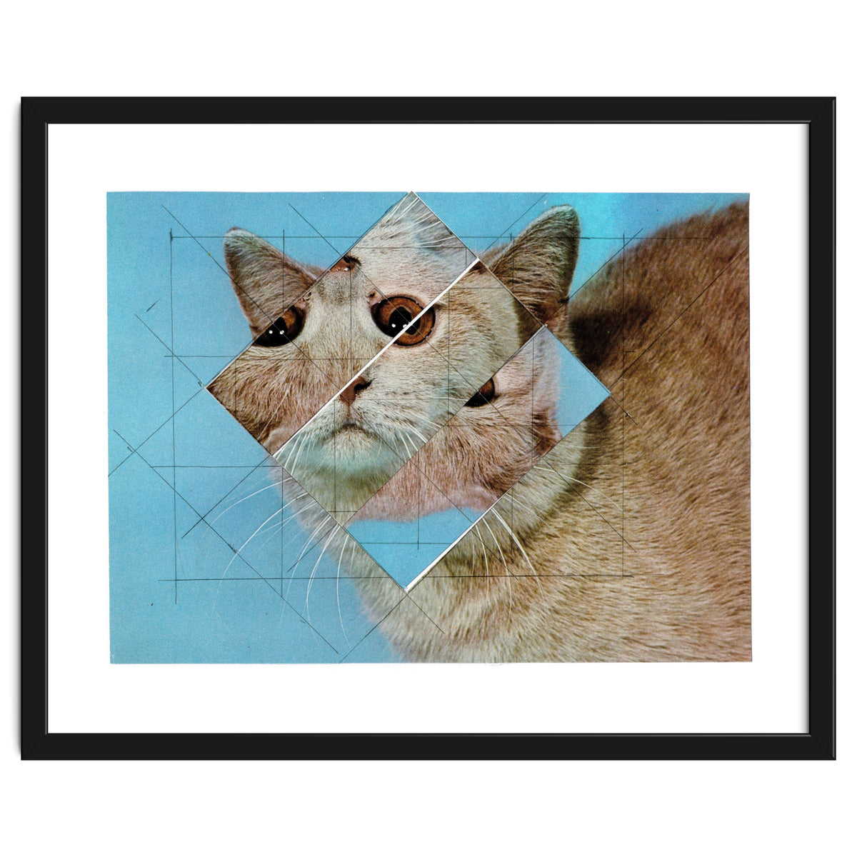 The Depressive Cat Am Abend Bekommt Den Blues