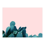 Kaktos (Print Only) thumbnail