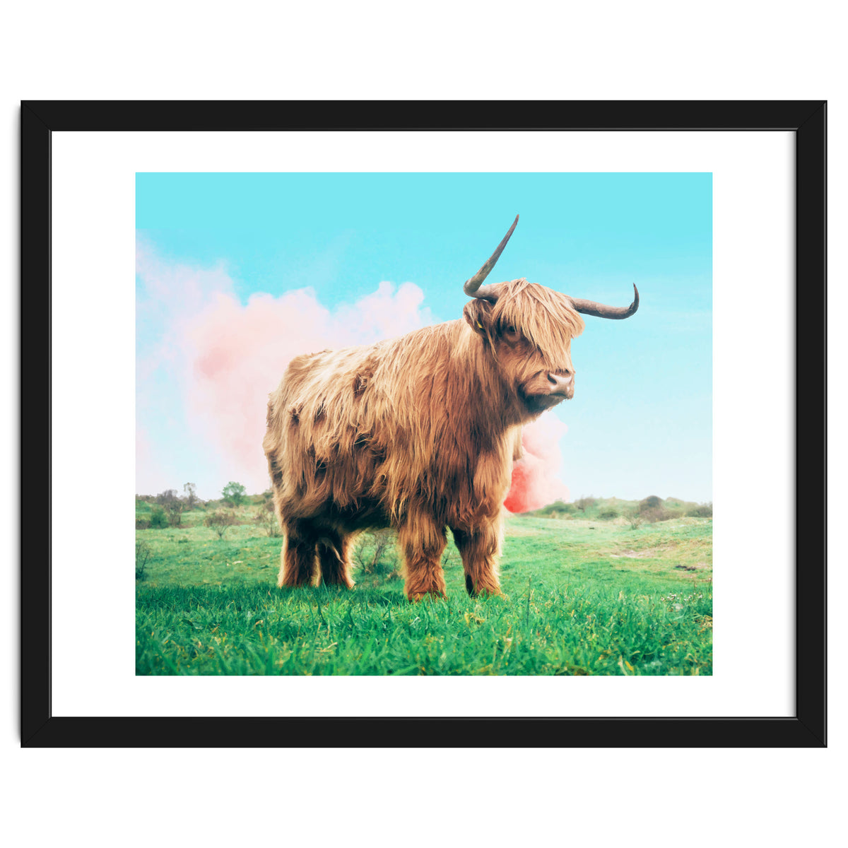 Highland Cow #society6 #decor #buyart