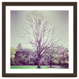 Tree Of Dreams thumbnail