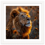 Majestic Lion In A Field Of Sunflowers thumbnail