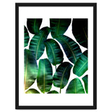 Cosmic Banana Leaves thumbnail