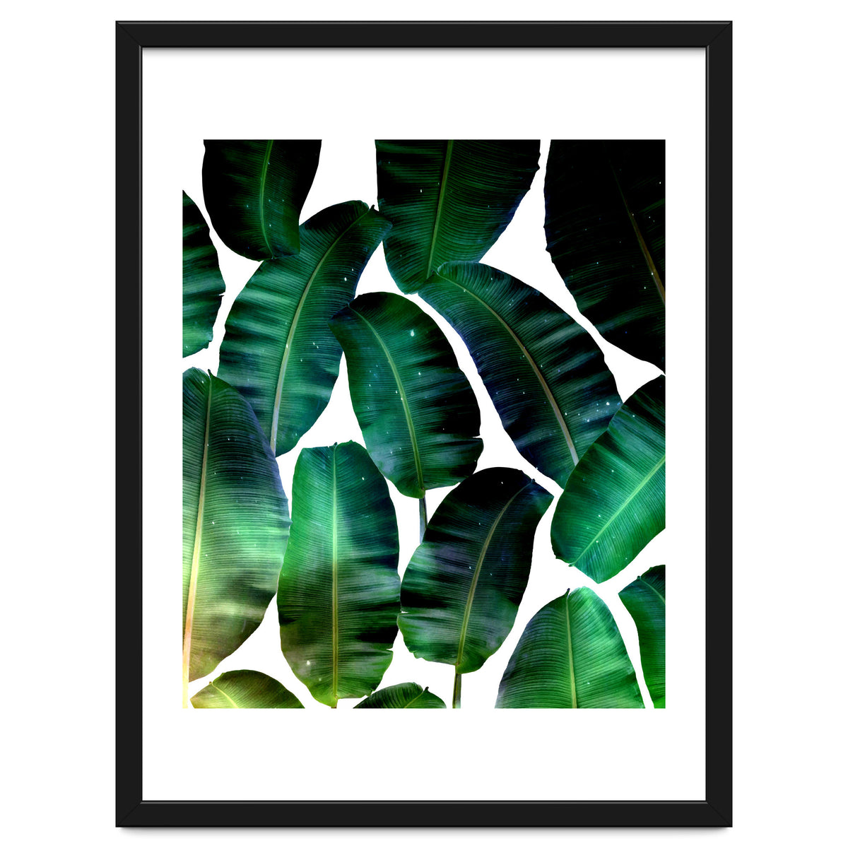 Cosmic Banana Leaves