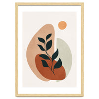 Soft Shapes II