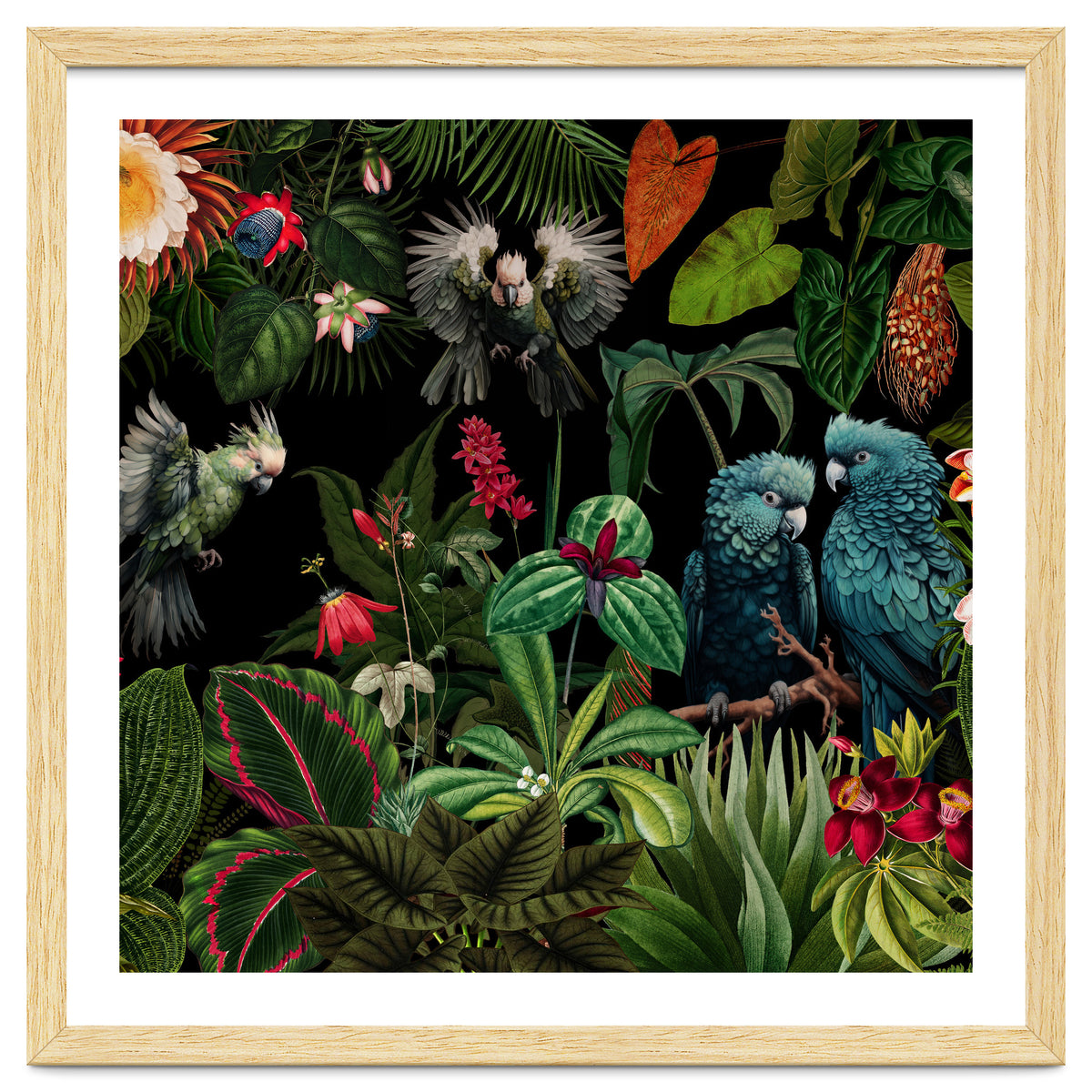 Moody Botanical Midnight Jungle Birds