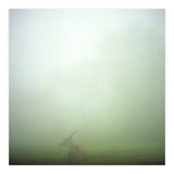 Silence of breath - 06 (Print Only) thumbnail