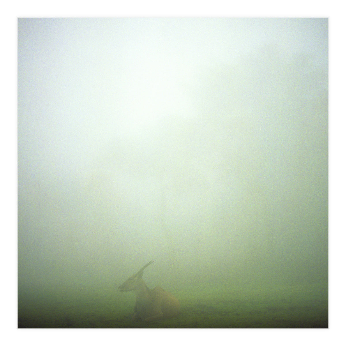 Silence of breath - 06 (Print Only)