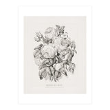 Currier & Ives – Rose of May (1870) (Print Only) thumbnail