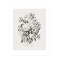 Currier & Ives – Rose of May (1870) (Print Only)
