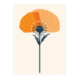 Orange Half Poppy (Print Only) thumbnail