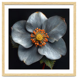 Hellebore | Silver Magic thumbnail