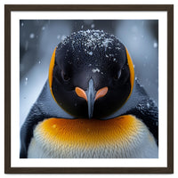Close Up King Penguin In The Snow