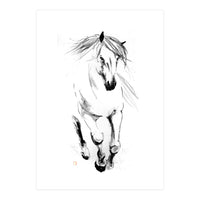 Runninh Ghorse In Water (Print Only)