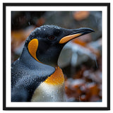 King Penguin In Rain With Water Drops thumbnail