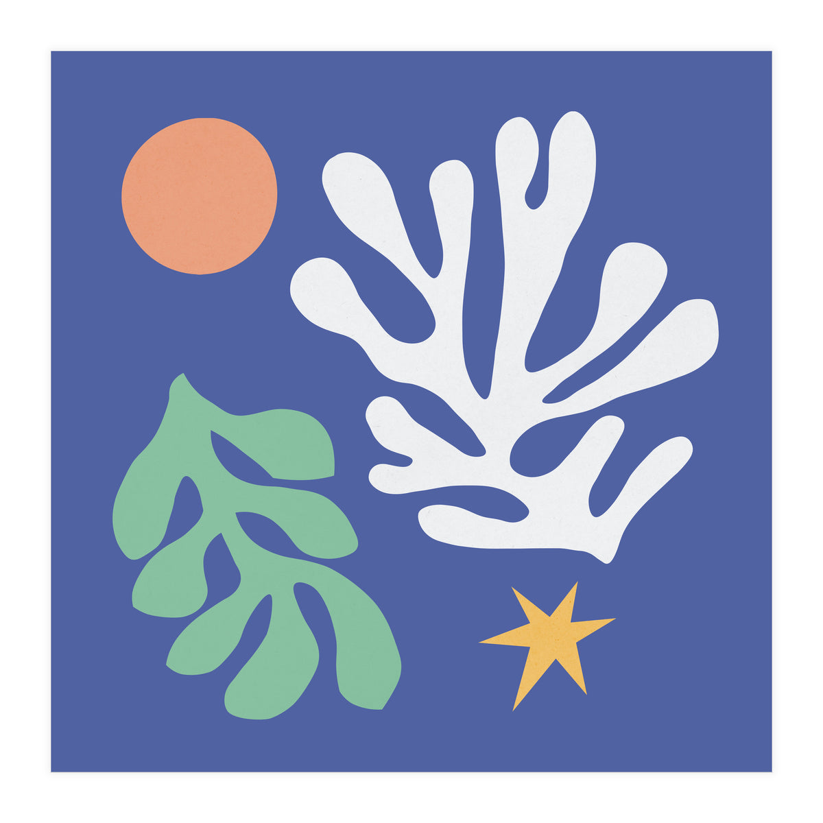 Floral matisse 2 (Print Only)